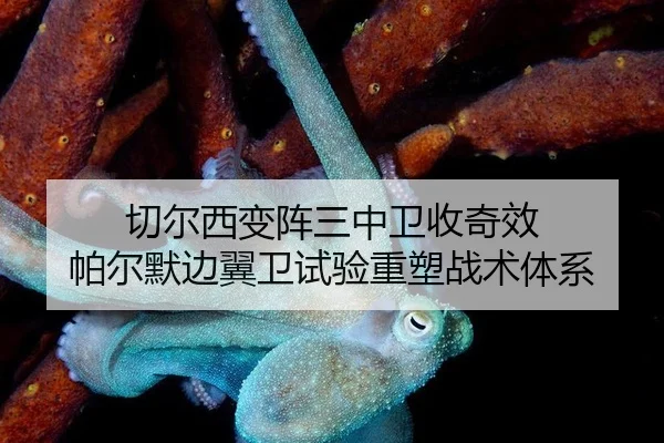 qie-er-xi-bian-zhen-san-zhong-wei-shou-qi-xiao-pa-er-mo-bian-yi-wei-shi-yan-zhong-su-zhan-shu-ti-xi-2-589.jpg